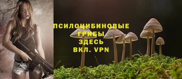 a pvp Балабаново