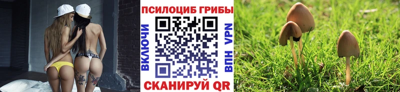shop официальный сайт  Оленегорск  Галлюциногенные грибы Cubensis 